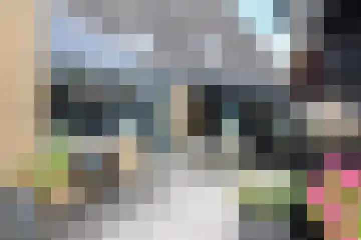 Schepsnavel 16 Franeker thumbnail 55