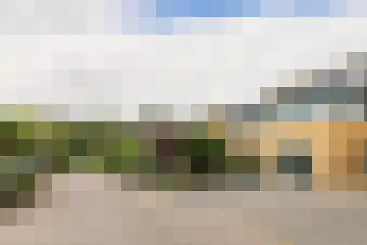 Schepsnavel 16 Franeker thumbnail 60