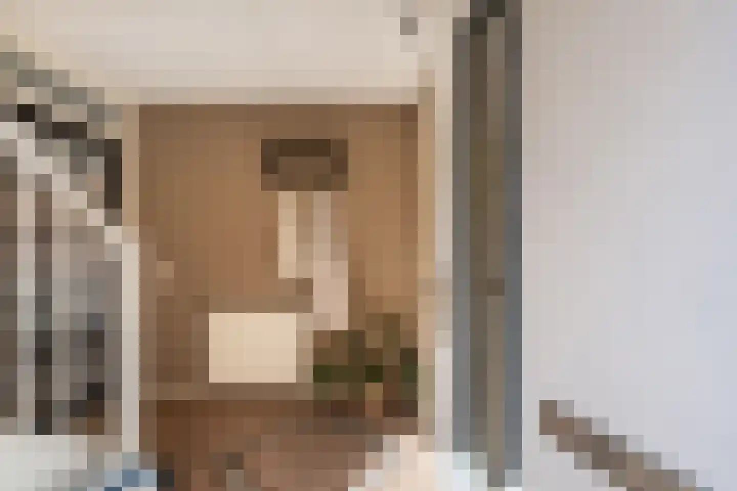 Schepsnavel 16 Franeker thumbnail 8