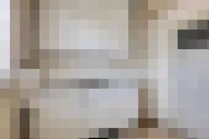 Schere 238 Rotterdam thumbnail 11