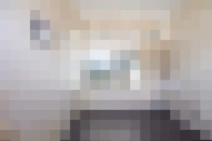 Schere 238 Rotterdam thumbnail 12