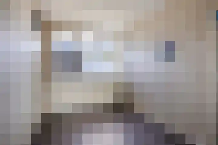 Schere 238 Rotterdam thumbnail 13