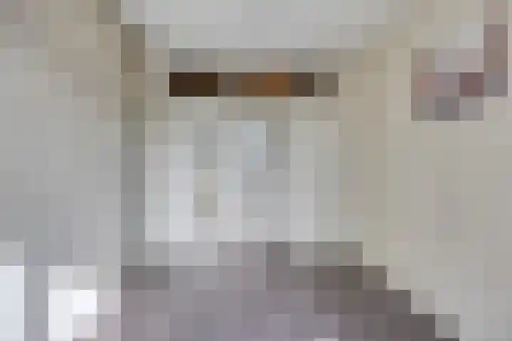 Schere 238 Rotterdam thumbnail 16
