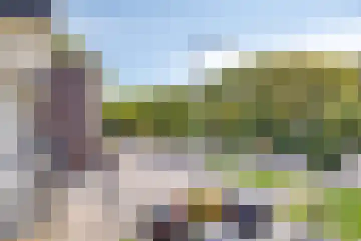 Schere 238 Rotterdam thumbnail 20