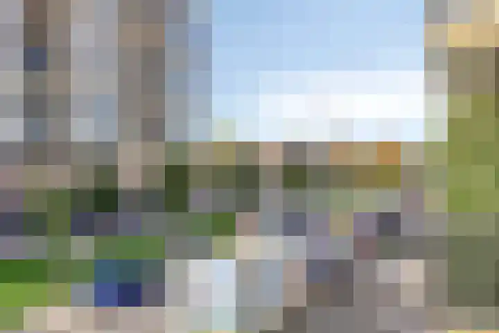 Schere 238 Rotterdam thumbnail 21