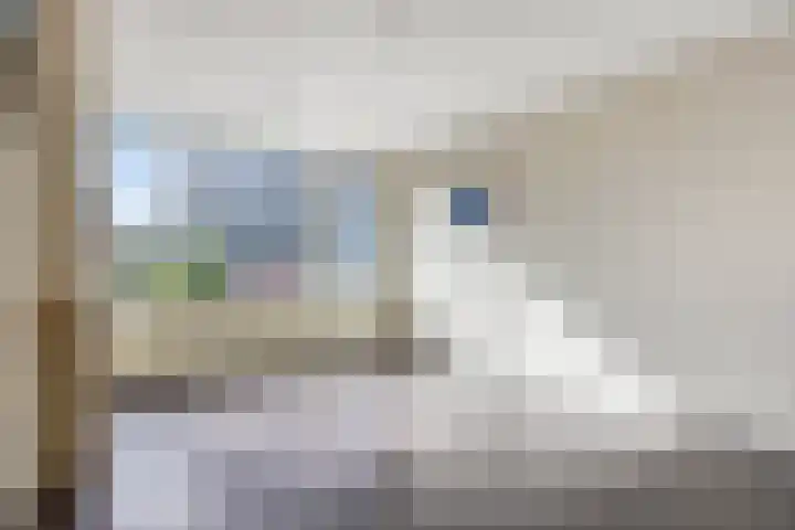 Schere 238 Rotterdam thumbnail 8
