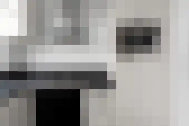 Schere 250 Rotterdam thumbnail 11