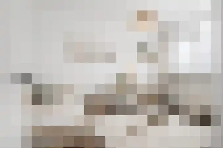 Schere 250 Rotterdam thumbnail 24