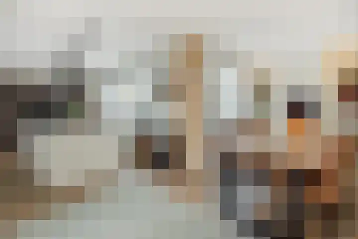 Schere 250 Rotterdam thumbnail 42