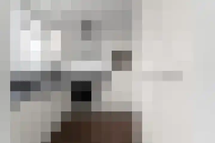 Schere 250 Rotterdam thumbnail 9