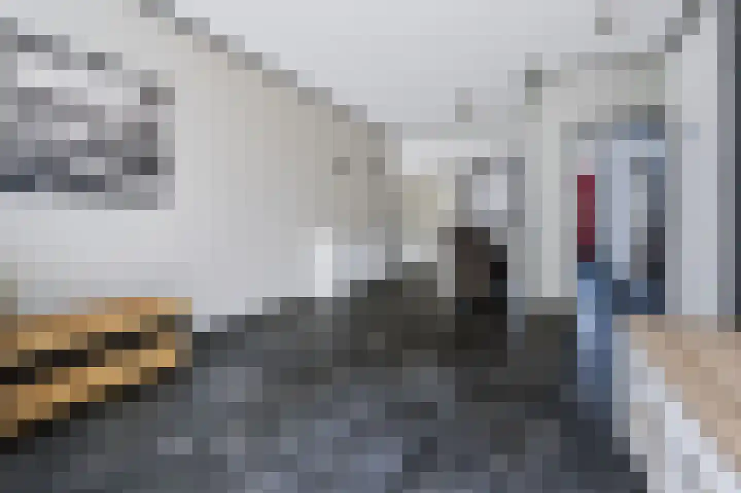 Schere 256 Rotterdam thumbnail 18