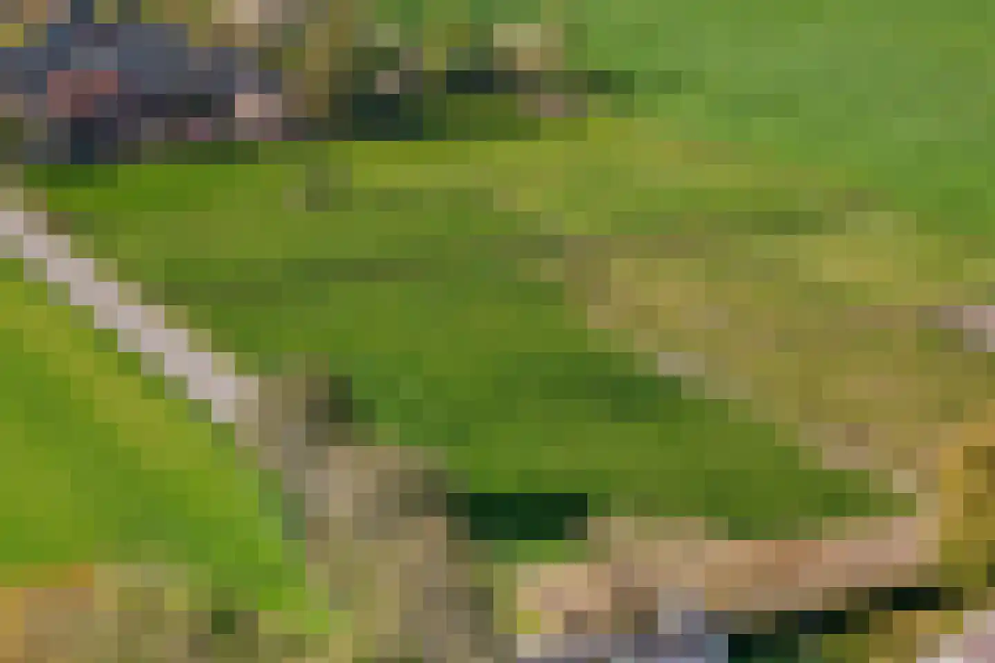 Scherenenkweg Hattem thumbnail 10