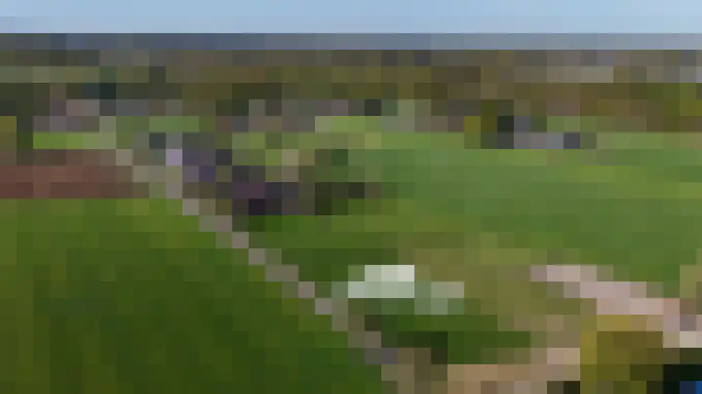 Scherenenkweg Hattem thumbnail 4