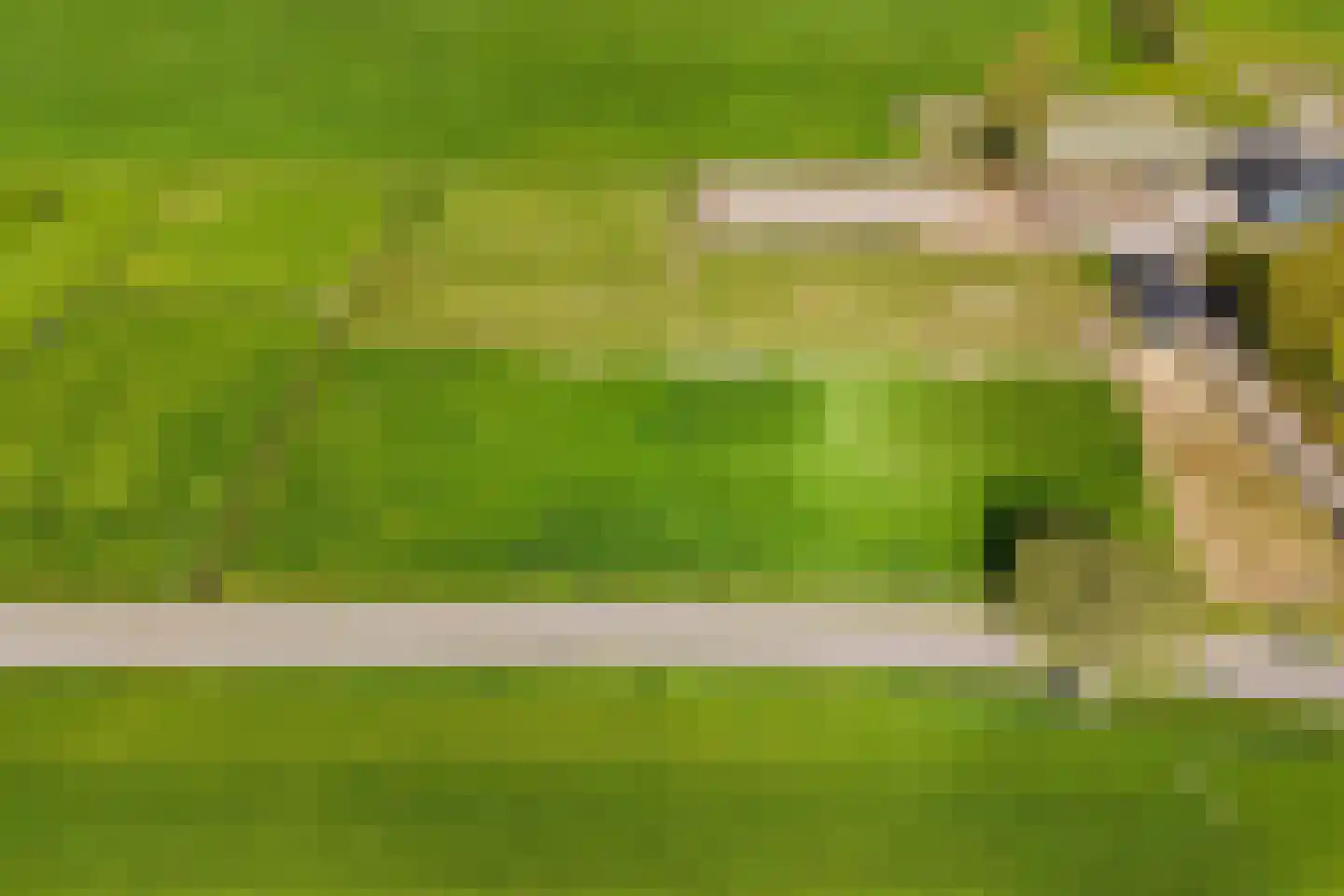 Scherenenkweg Hattem thumbnail 9