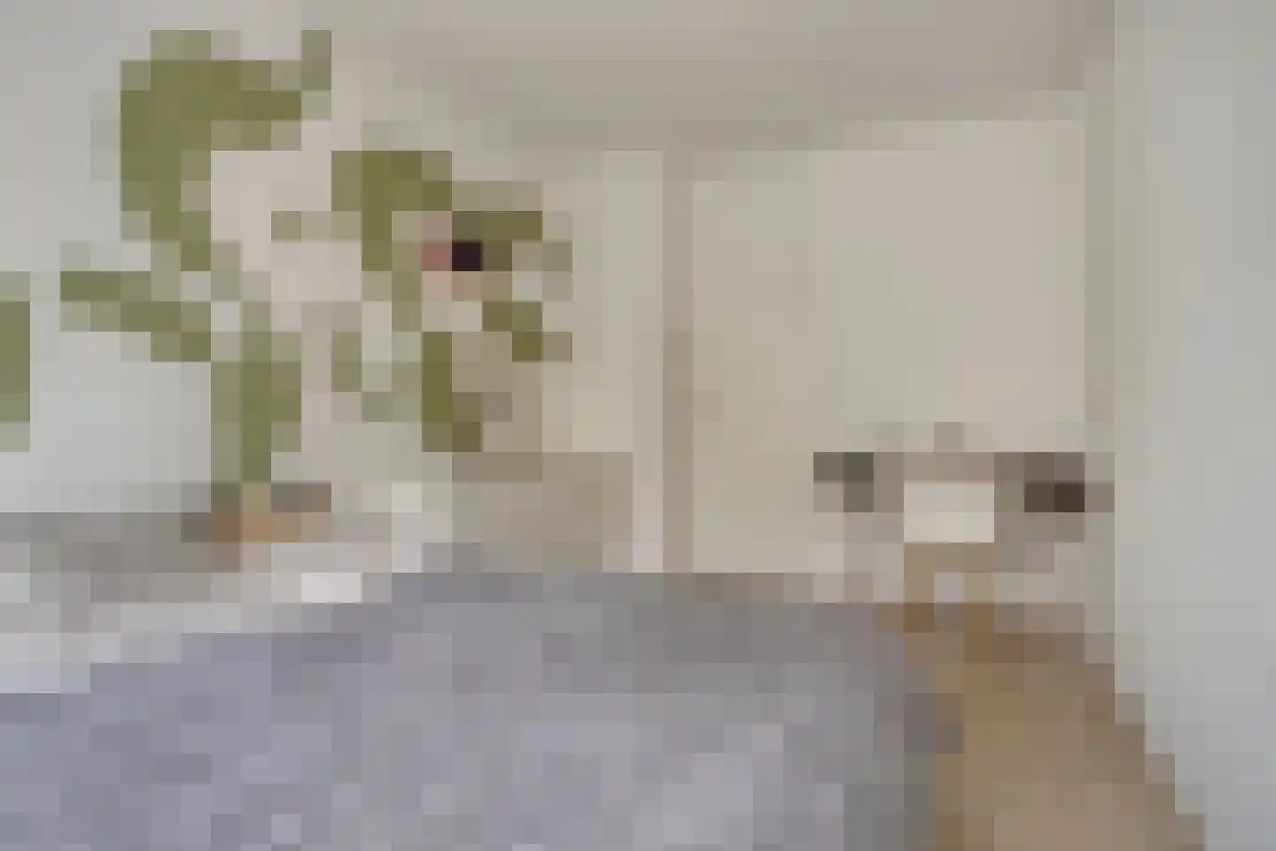 Scherhemstraat 11 Sneek thumbnail 11