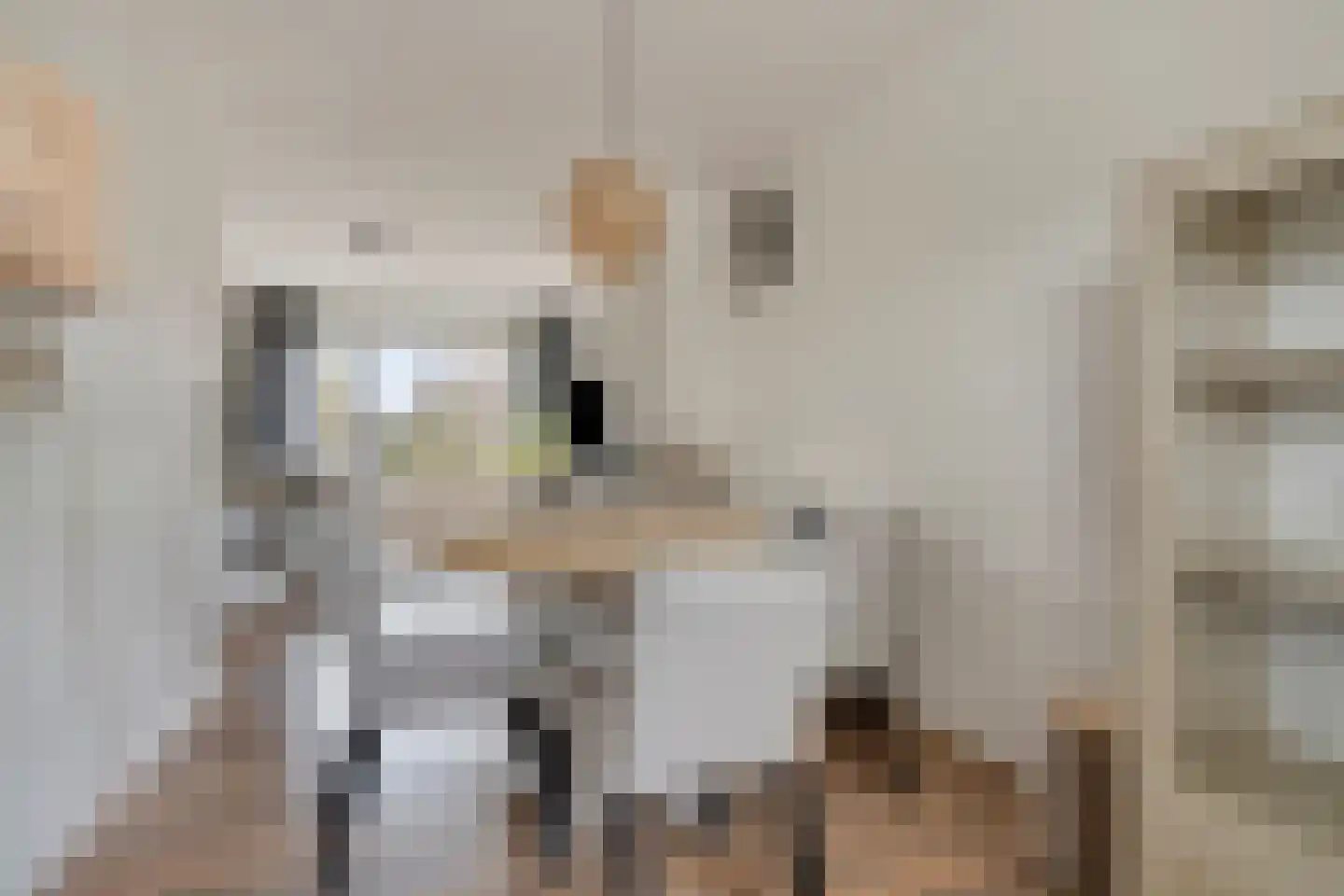 Scherhemstraat 11 Sneek thumbnail 8