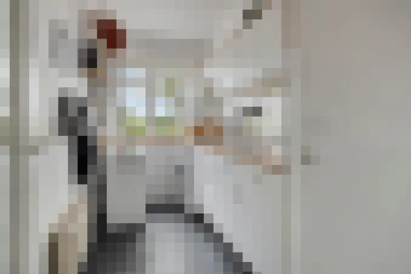 Scherhemstraat 11 Sneek thumbnail 9