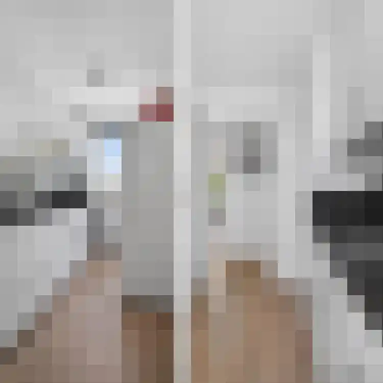 Scherhemstraat 31 Sneek thumbnail 10