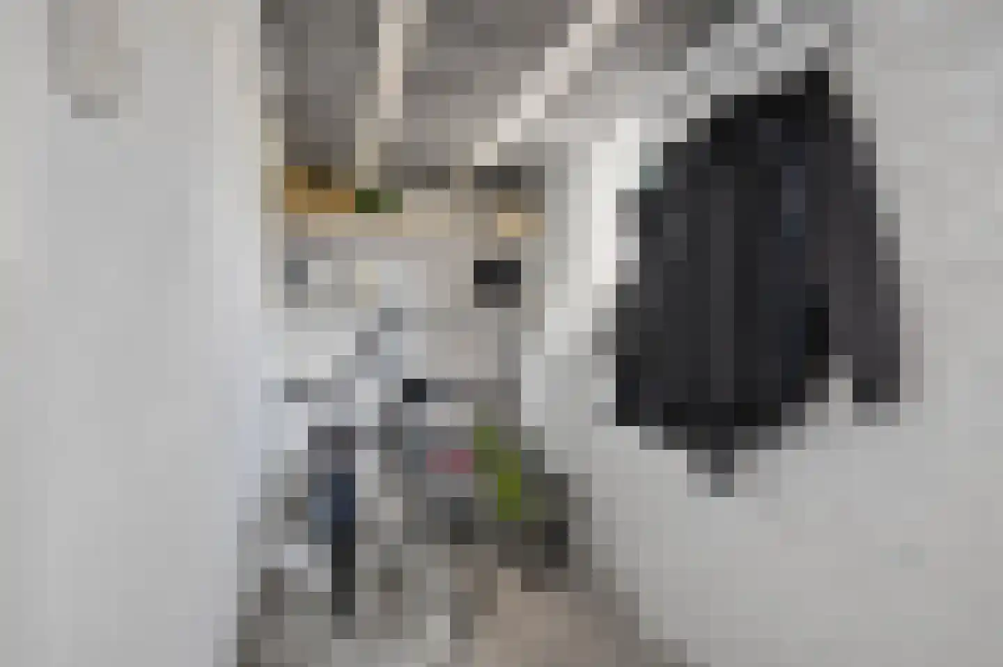 Scherhemstraat 31 Sneek thumbnail 20