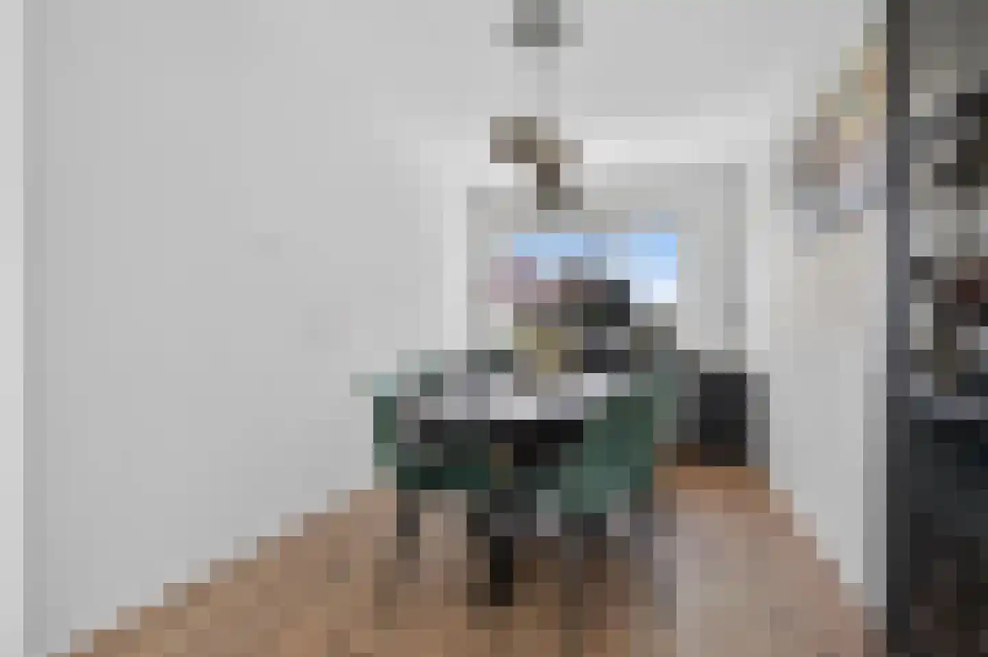Scherhemstraat 31 Sneek thumbnail 7