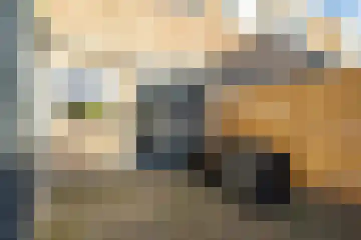 Scherhemstraat 67 Sneek thumbnail 18
