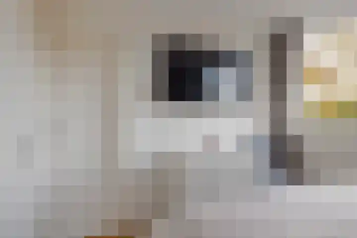Scherhemstraat 67 Sneek thumbnail 23