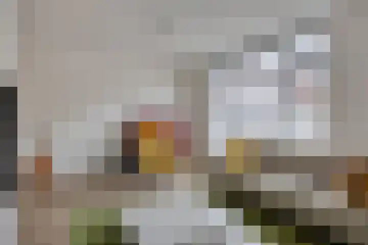 Schering 20 Oss thumbnail 10
