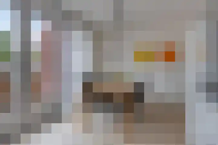 Schering 20 Oss thumbnail 14