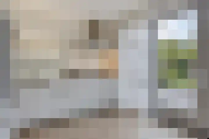 Schering 20 Oss thumbnail 17