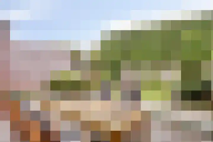 Schering 20 Oss thumbnail 18