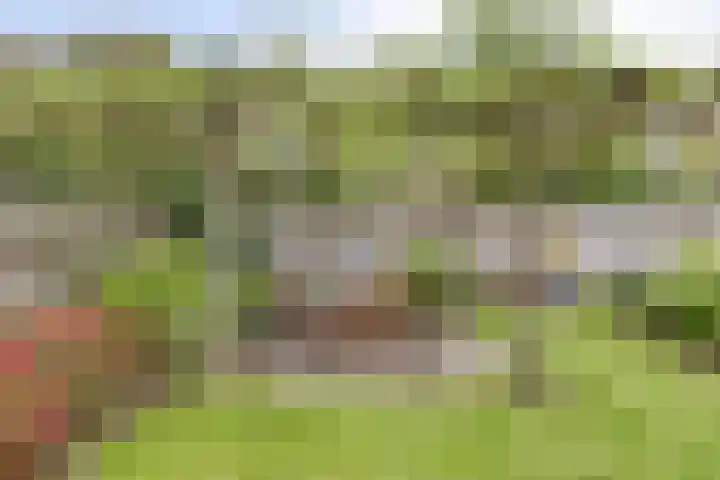 Schering 20 Oss thumbnail 19