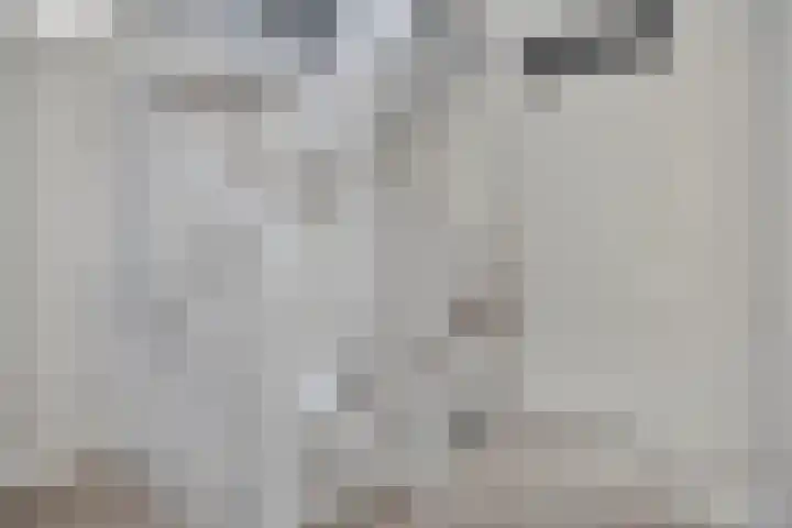 Schering 20 Oss thumbnail 21