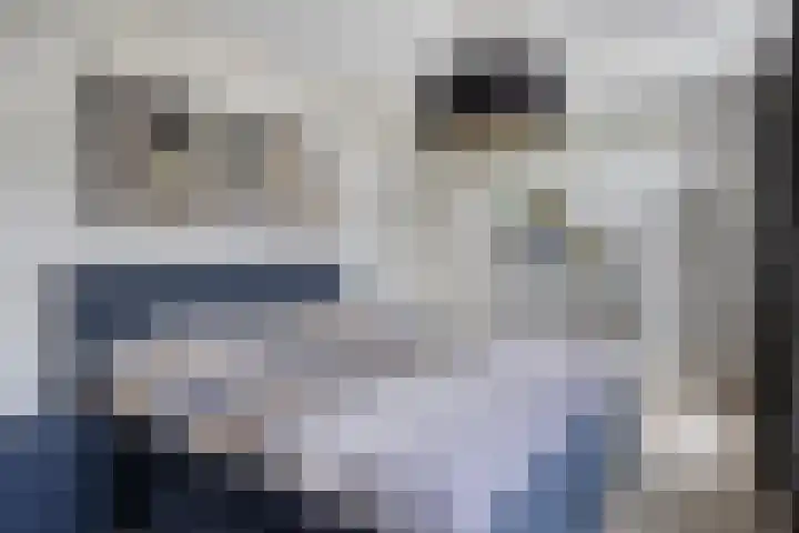 Schering 20 Oss thumbnail 23