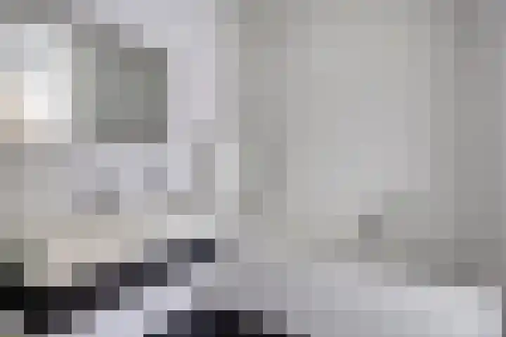 Schering 20 Oss thumbnail 25