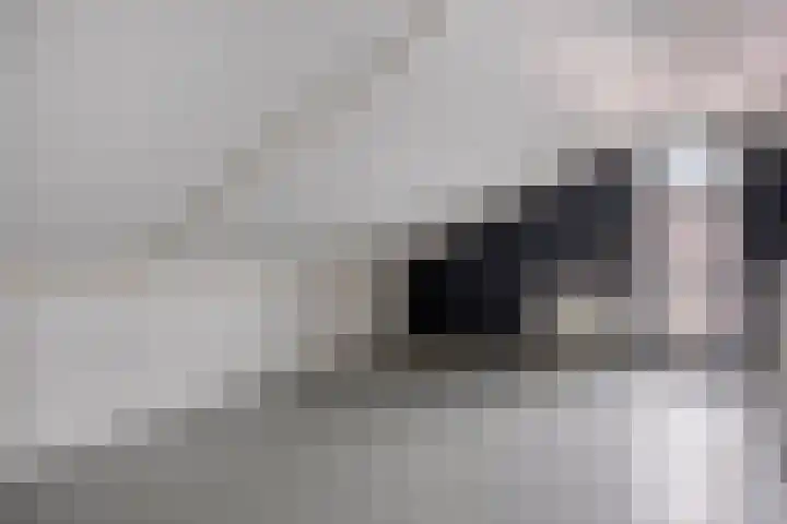 Schering 20 Oss thumbnail 31