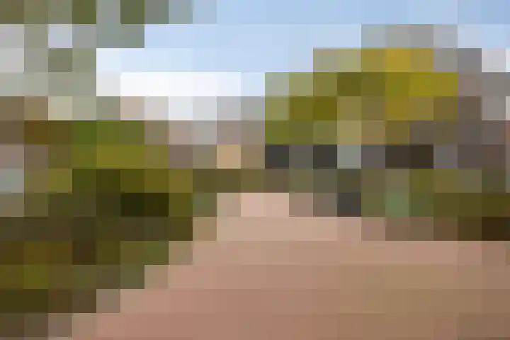 Schering 20 Oss thumbnail 34