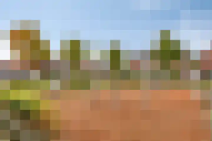 Schering 20 Oss thumbnail 35