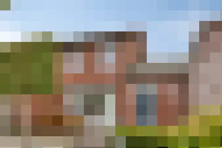 Schering 20 Oss thumbnail 4