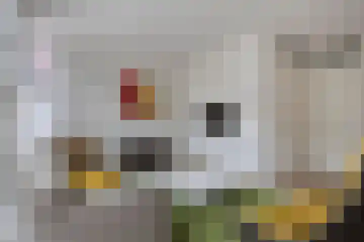 Schering 20 Oss thumbnail 9