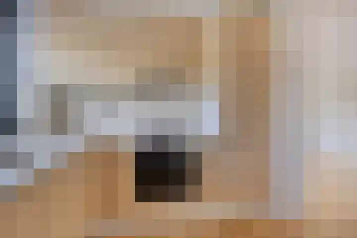 Schering 21 Wierden thumbnail 10