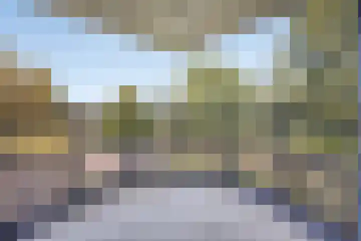 Schering 21 Wierden thumbnail 13