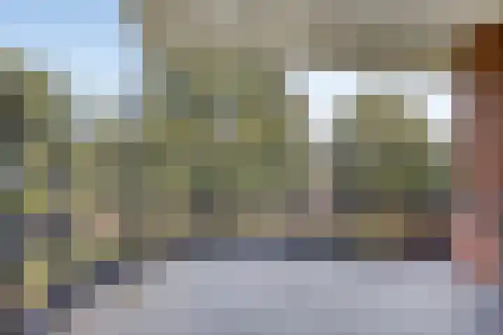 Schering 21 Wierden thumbnail 15