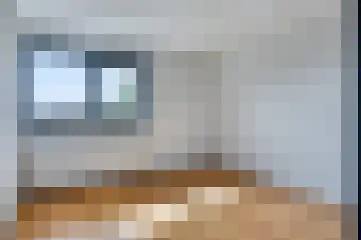 Schering 21 Wierden thumbnail 17