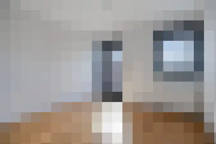 Schering 21 Wierden thumbnail 21