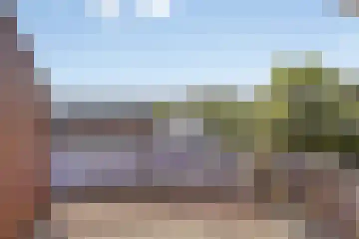 Schering 21 Wierden thumbnail 22