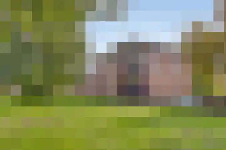 Schering 21 Wierden thumbnail 26