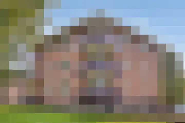 Schering 21 Wierden thumbnail 27