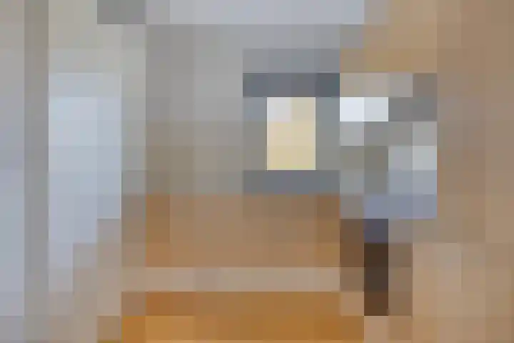 Schering 21 Wierden thumbnail 9