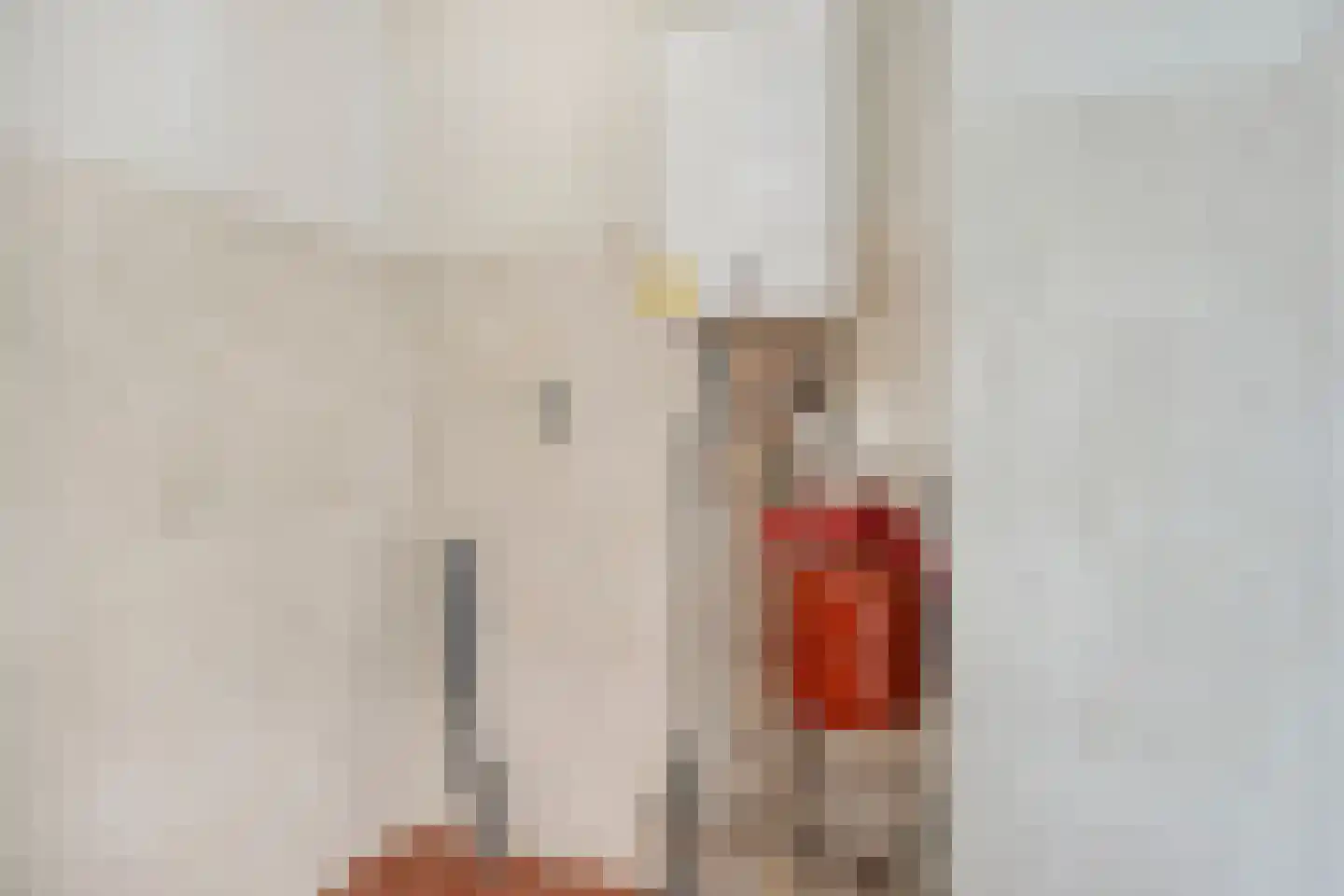 Schering 31 Wierden thumbnail 13