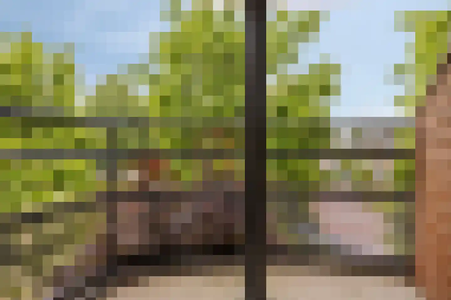 Schering 31 Wierden thumbnail 16